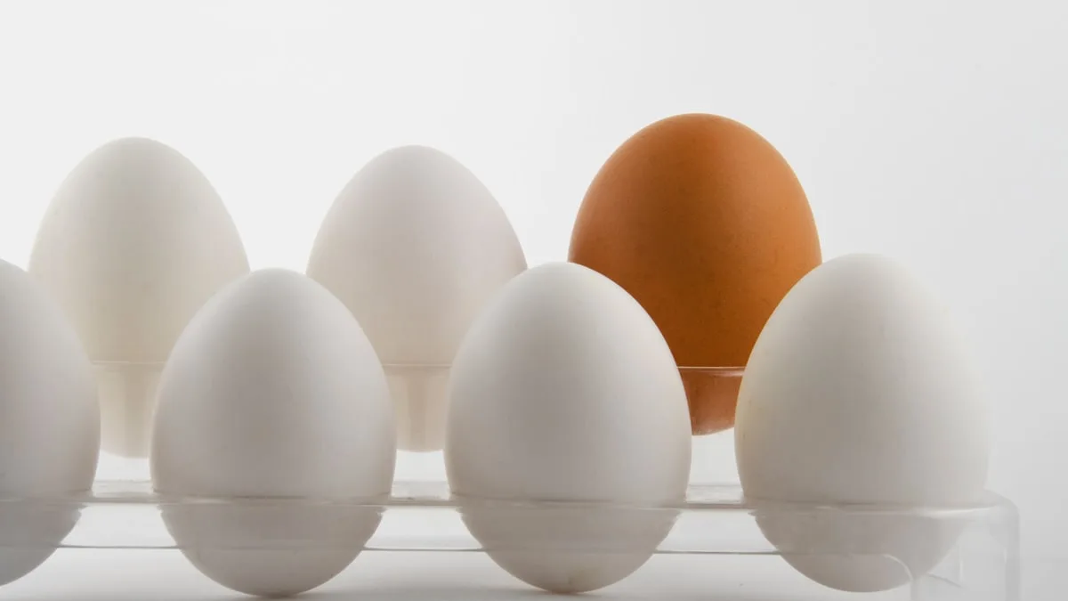 Why are brown eggs more expensive than white ones?
