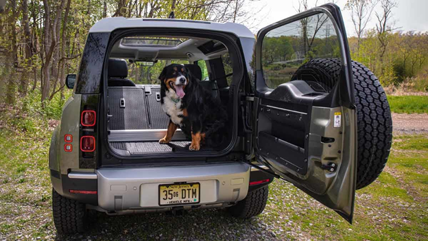 Luxury midsized SUVs with most cargo room